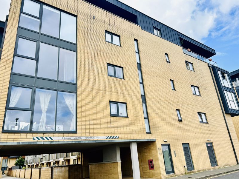 Main Image